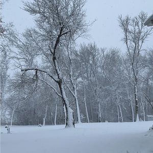 Meet your Posher, Sandi